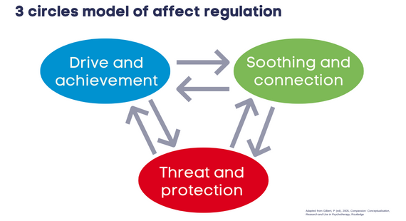 Three circles model of affect regulation showing drive, soothing and threat circles