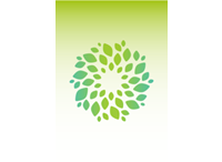 Leaf motif of the St Patrick's Mental Health Services logo against a lime green gradient background colour
