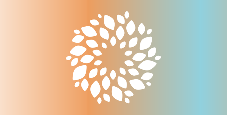The leaf pattern of the St Patrick's Mental Health Services logo seen against a coloured background in a blend of light blue and orange colours.