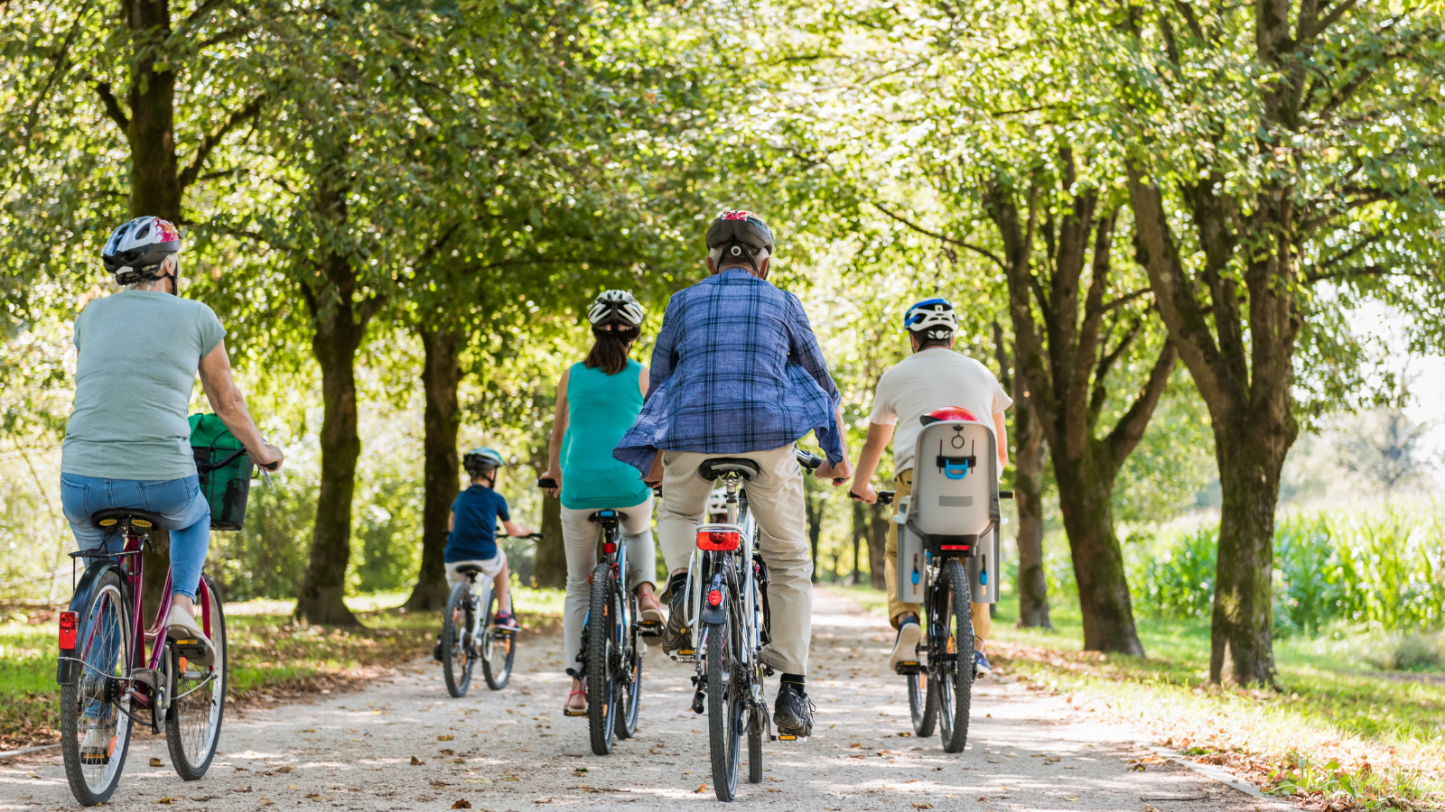 This is an image of a park that's surrounded by trees and nature. There is a group of five people, children and adults, cycling through the park on bikes.